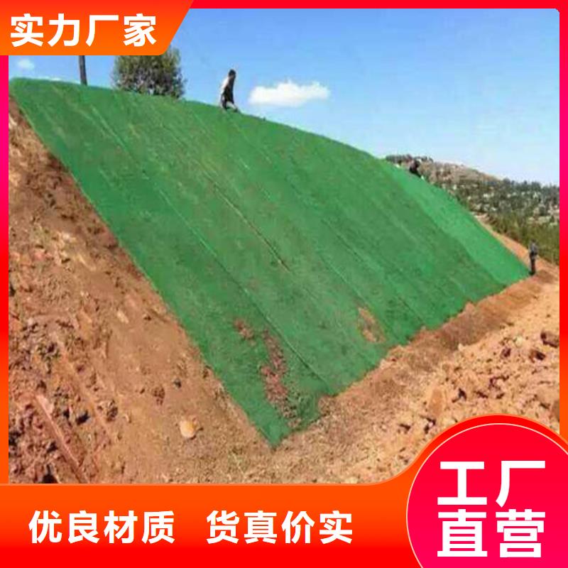 【三维植被网,三维土工网垫合作共赢】本地生产厂家