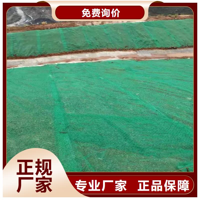 三維植被網三維土工網墊拒絕中間商敢與同行比質量