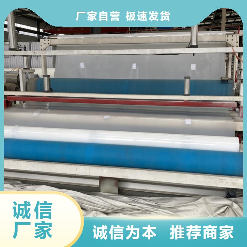EVA防水板-【三維水土保護(hù)毯】認(rèn)準(zhǔn)大品牌廠家本地制造商