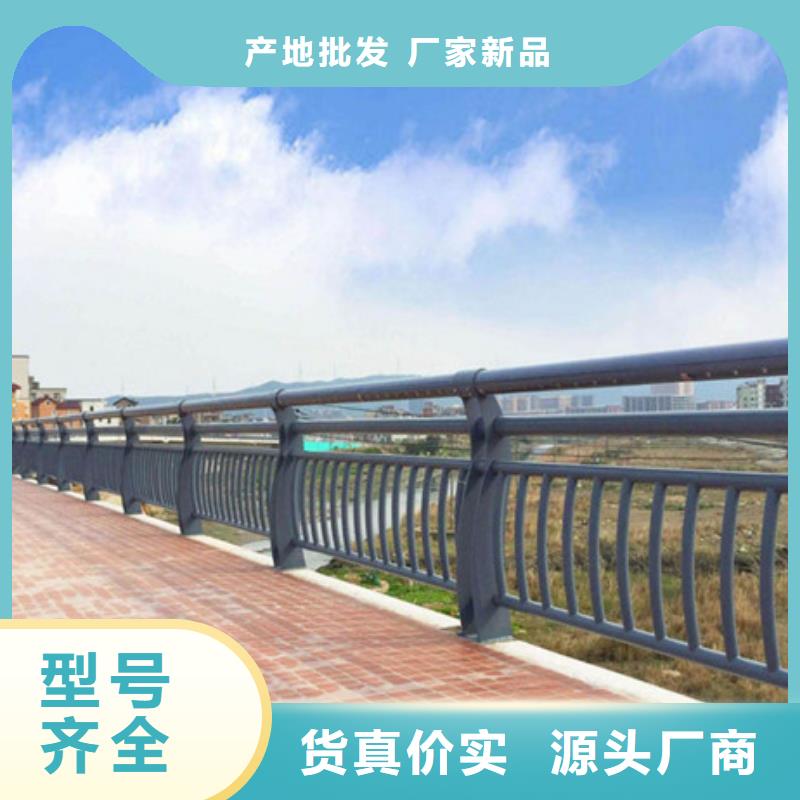 /FJ499236.html