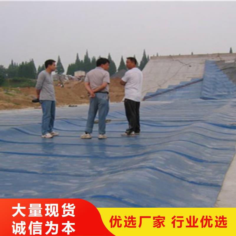 橡膠壩維修施工隊(duì)伍同城制造商
