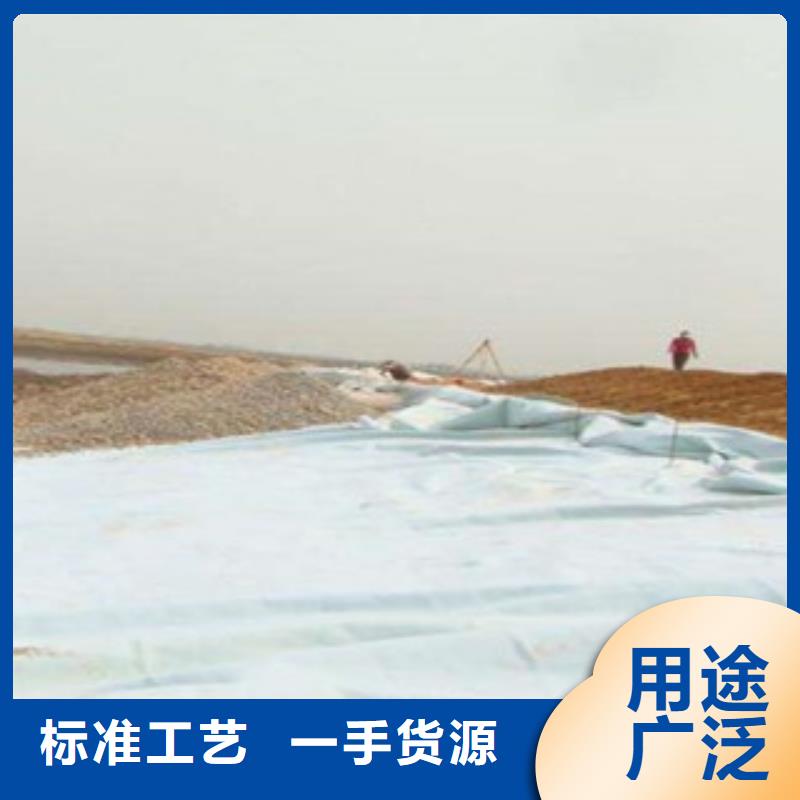 土工布_塑料土工格柵實力廠商細節之處更加用心