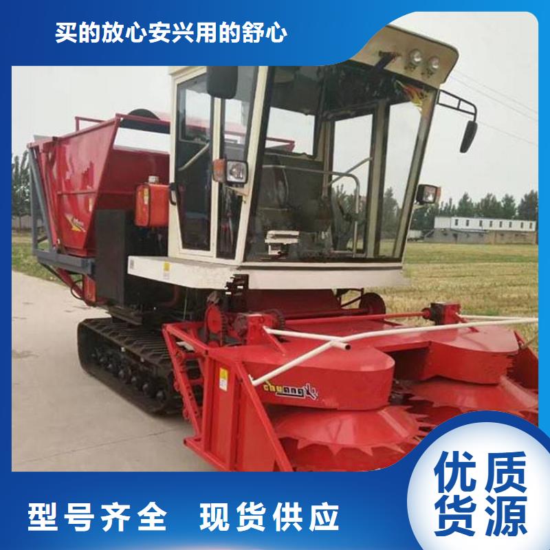 青儲機【拉布拉多犬】顏色尺寸款式定制本地制造商