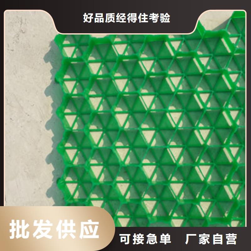植草格,土工布廠家您身邊的廠家現貨實拍