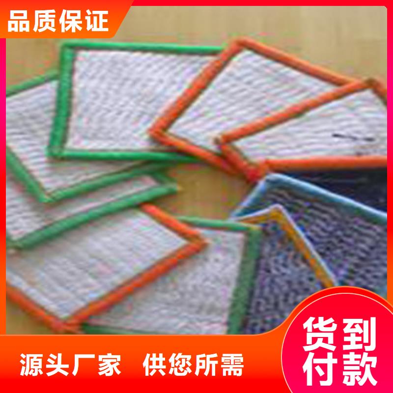 防水毯-膨潤土防水毯廠家大廠家實(shí)力看得見銷售的是誠信