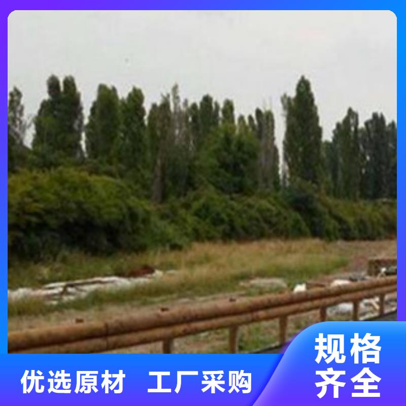 鋼背木護欄-橋梁護欄源頭廠源頭貨老客戶鐘愛