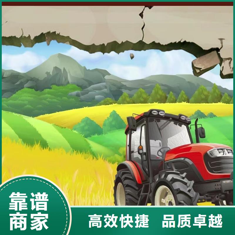 專業墻繪手繪3D彩繪戶外墻畫實力團隊講究信譽