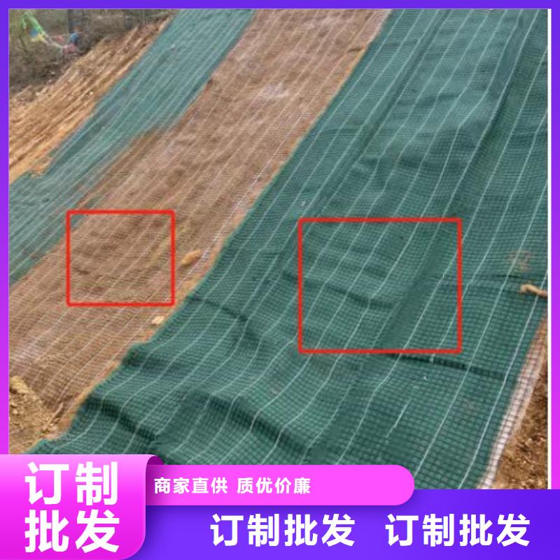 鑫海秸秆稻草毯细节决定成败就近铁路公路植生毯附近供应商