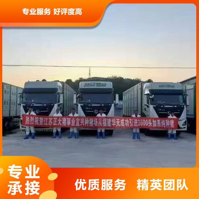 泗陽到豬籠車運輸-專用車信譽良好質量優選