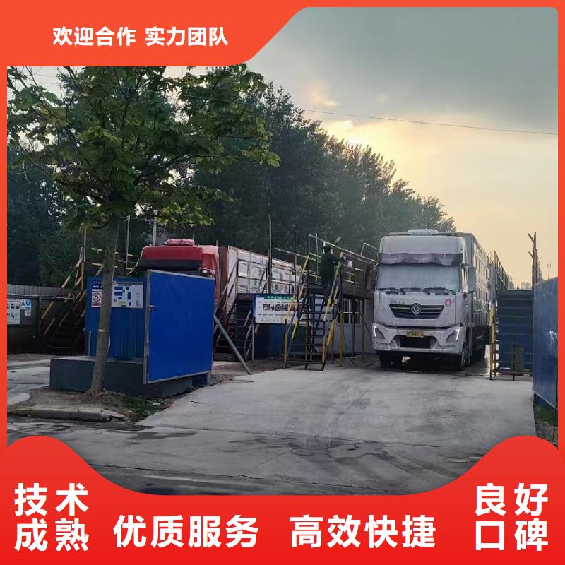 仔豬運輸一站式服務優質服務二育運輸規格型號全
