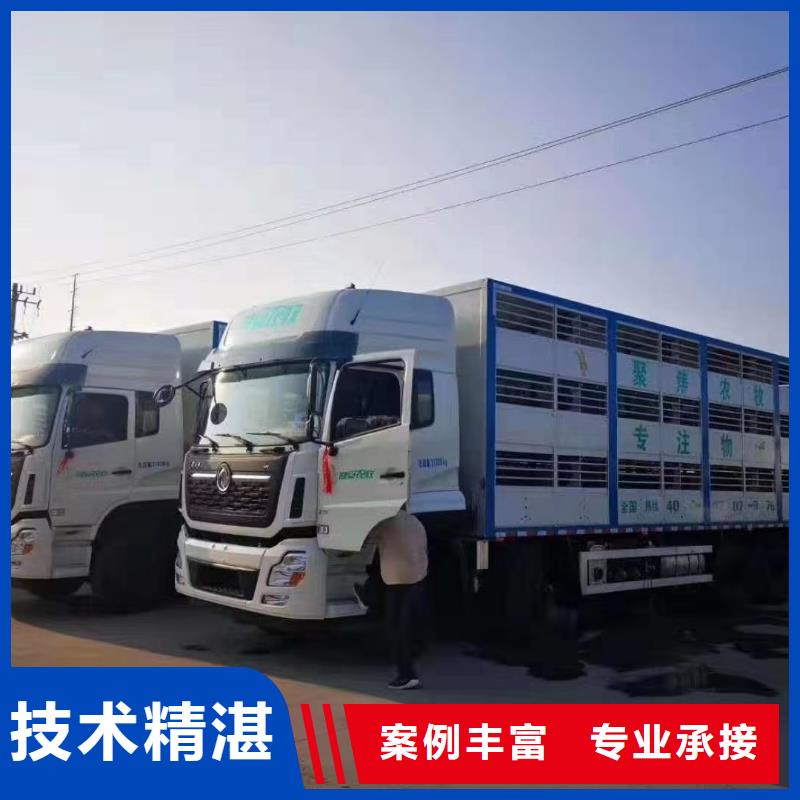 宿遷到仔豬運(yùn)輸-專用車技術(shù)精湛用心做品質(zhì)