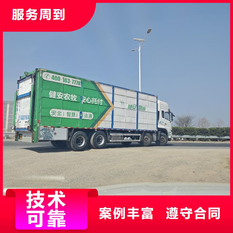 泗洪到恒溫車運(yùn)輸定制不額外收費(fèi)
