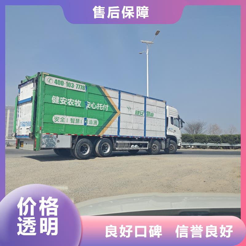 宿遷泗陽到仔豬恒溫車運輸平穩工廠現貨供應