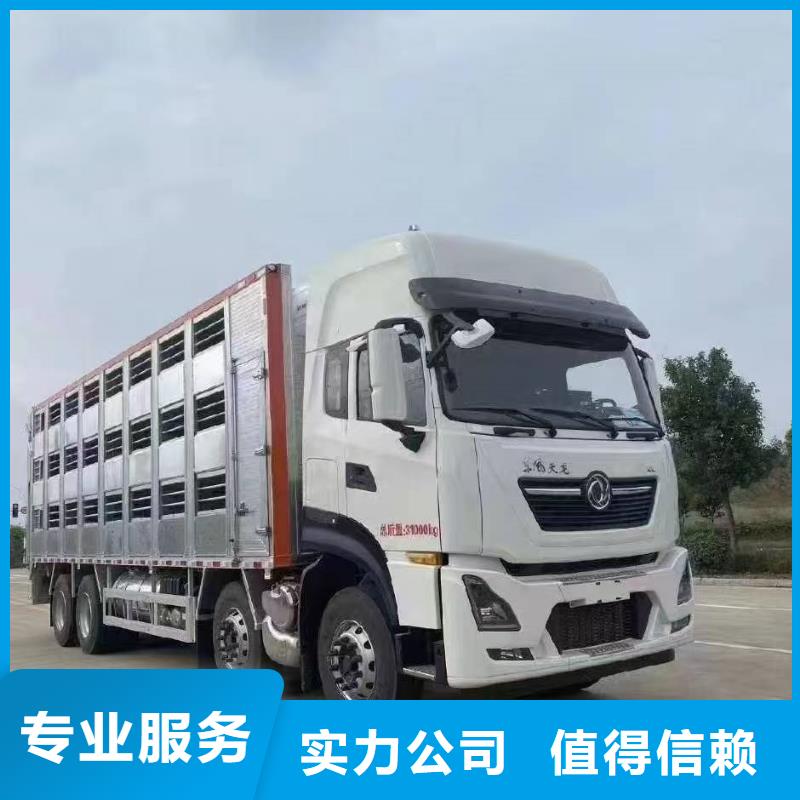 蘇州到鹽城仔豬運輸-空調車遵守合同