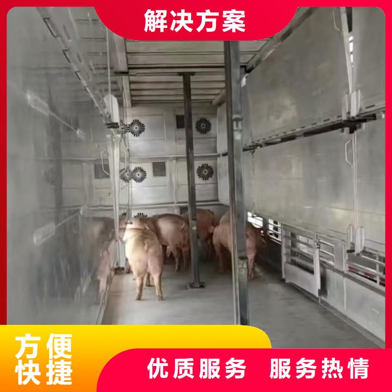南京到豬只運輸專用車-專用車正規公司廠家直發