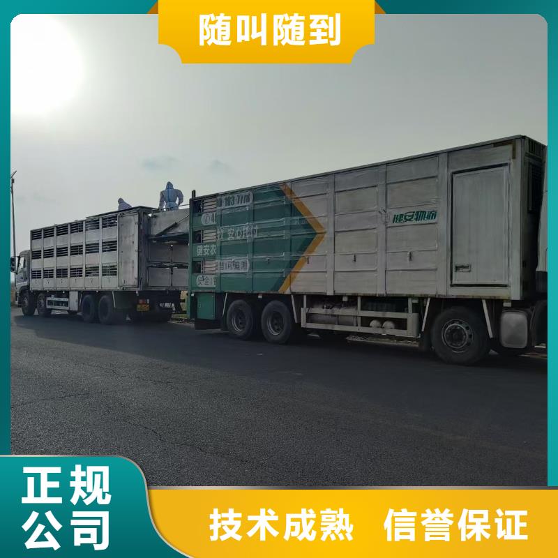 宿遷到畜禽物流妥善安置嚴(yán)格把控質(zhì)量