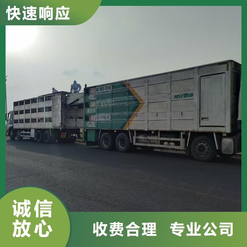 宿遷泗洪到畜禽物流放心省心拒絕中間商
