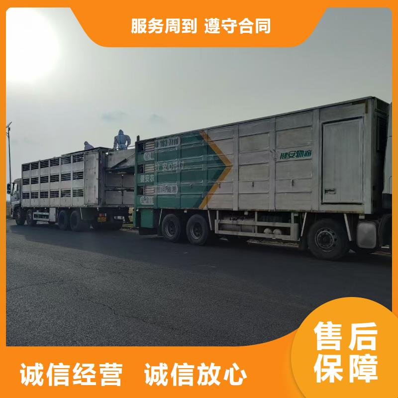 鄭州至活禽物流細致入微本地生產商
