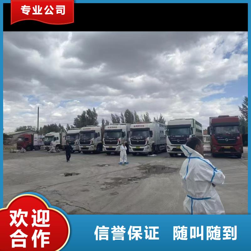 宿遷到恒溫車運輸支持拿樣