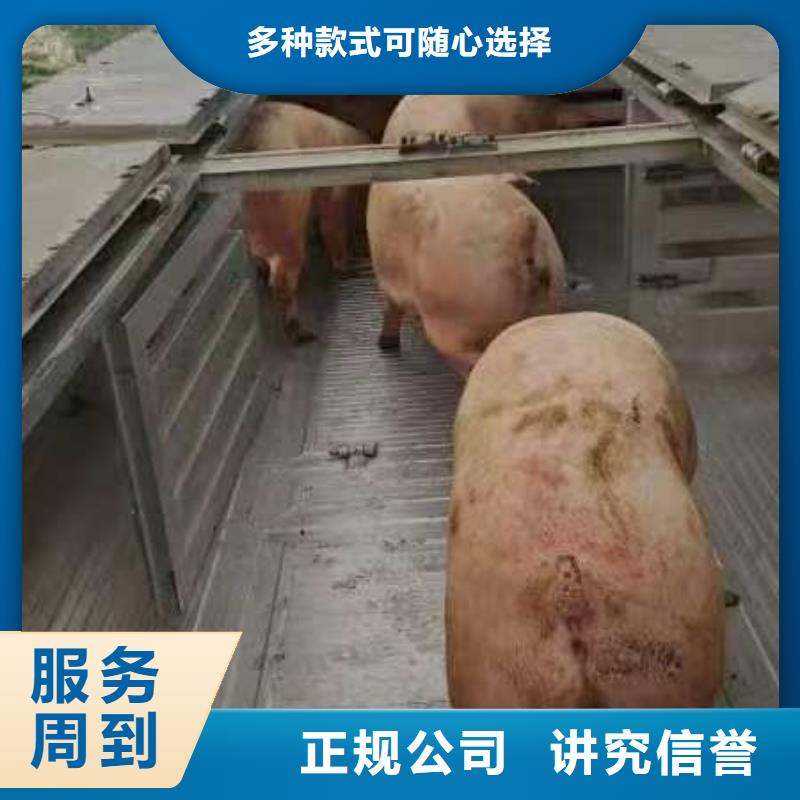 泗洪到鹽城農牧運輸