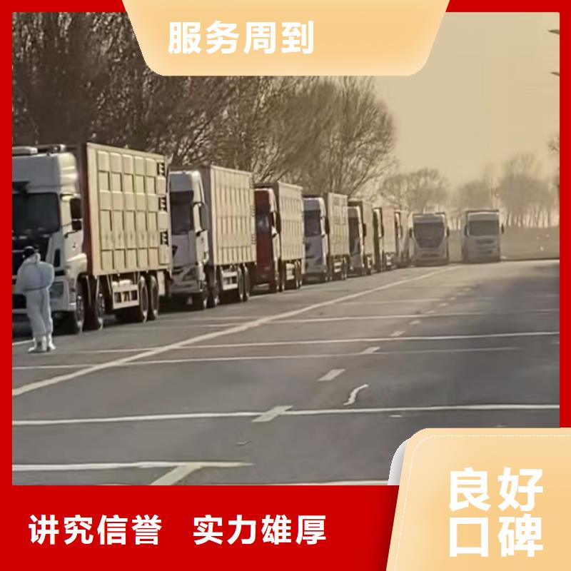 泗洪到鹽城二育運輸
