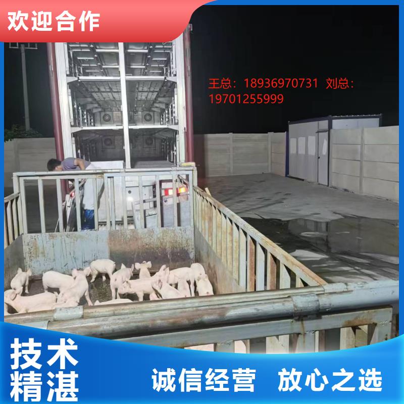 鹽城到鹽城豬籠車運輸-專用車講究信譽