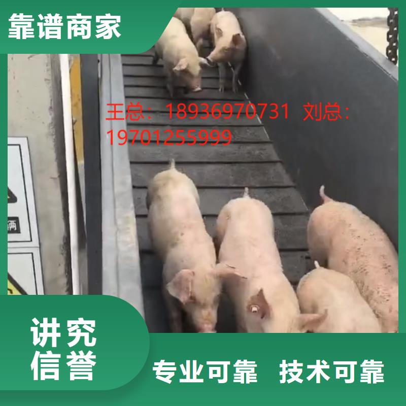 安徽到鹽城活禽運輸