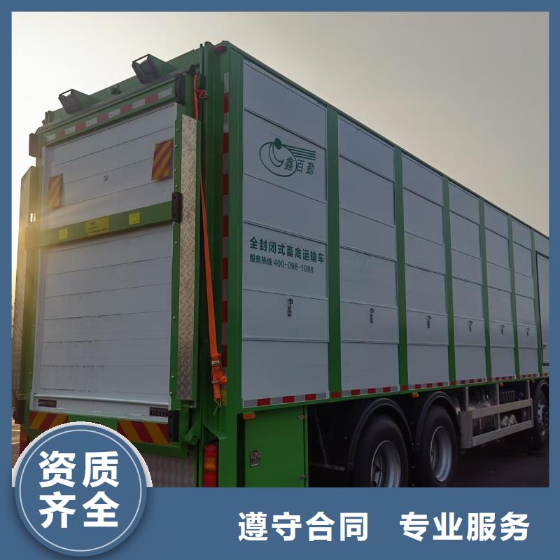 宿遷市泗陽到生豬運輸-恒溫車售后保障廠家采購