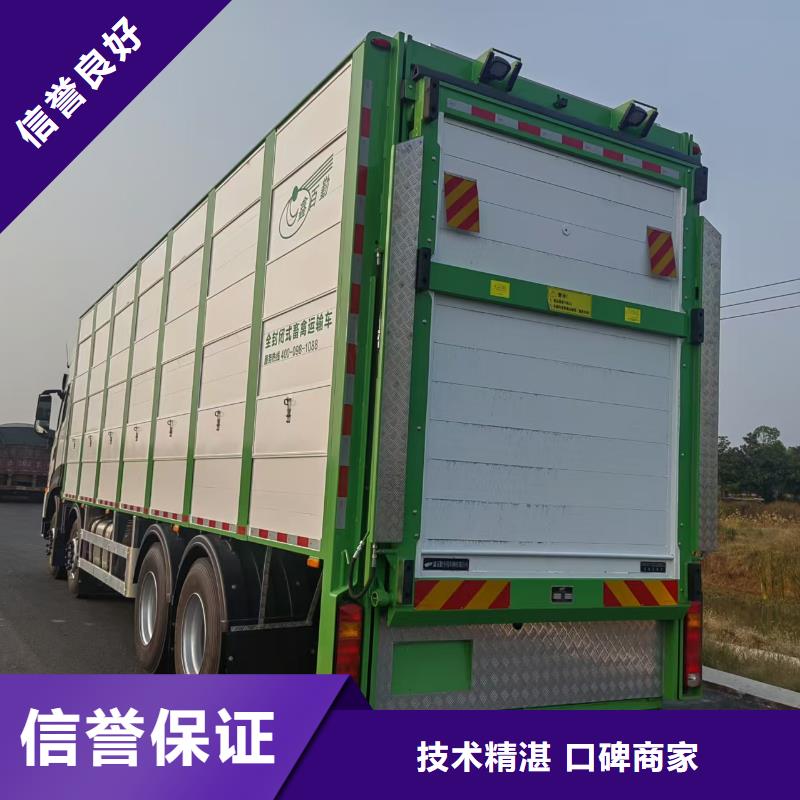 浙江到活禽運輸品質商家