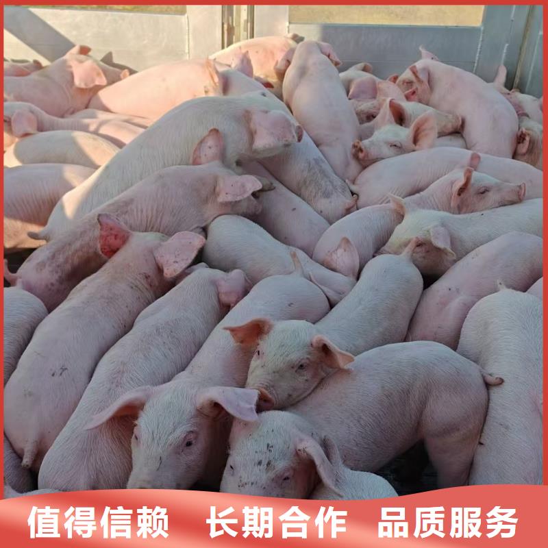 安徽到空調(diào)車運(yùn)輸當(dāng)?shù)貜S家