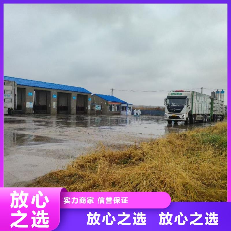 煙臺至農牧運輸恒溫車服務周到本地制造商