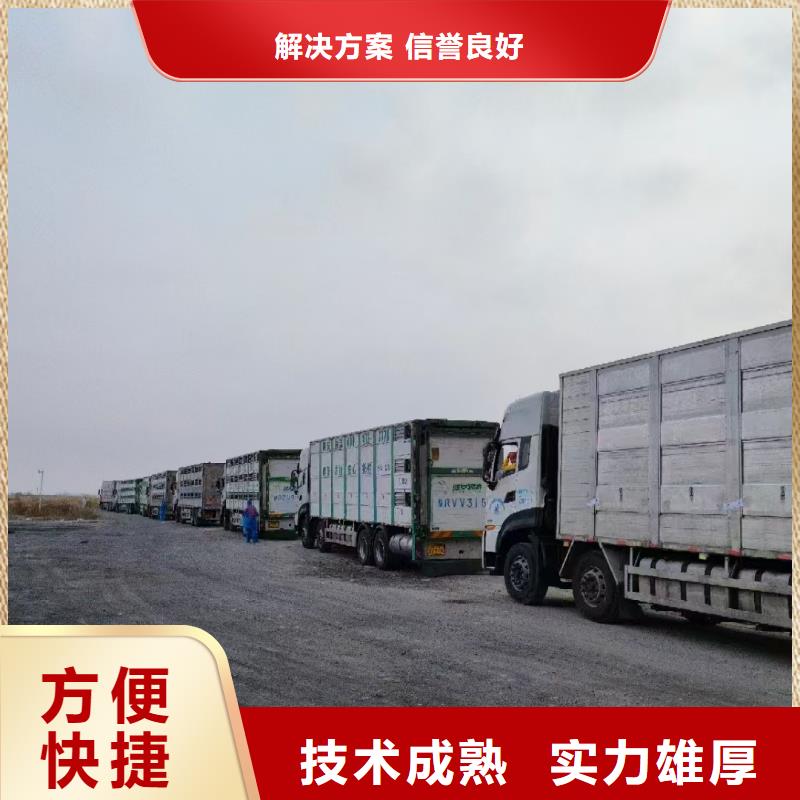 ?宿遷到豬籠車運輸按時到達按需設計