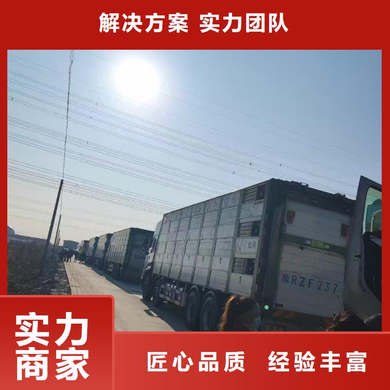 宿遷泗陽到豬牛羊運(yùn)輸保障量大更優(yōu)惠