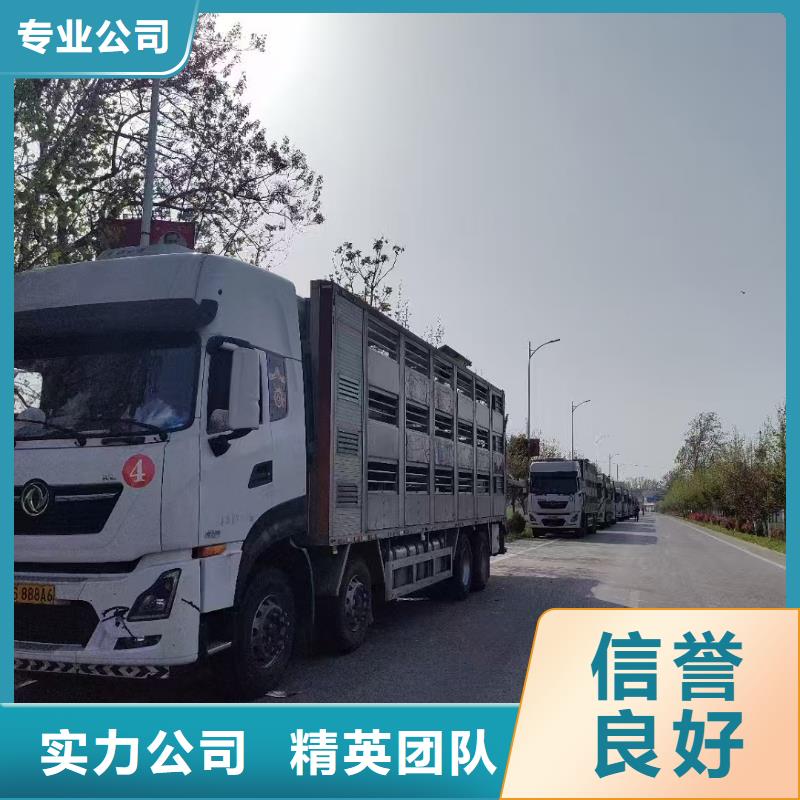 濟南到活禽運輸恒溫車誠實守信材質實在