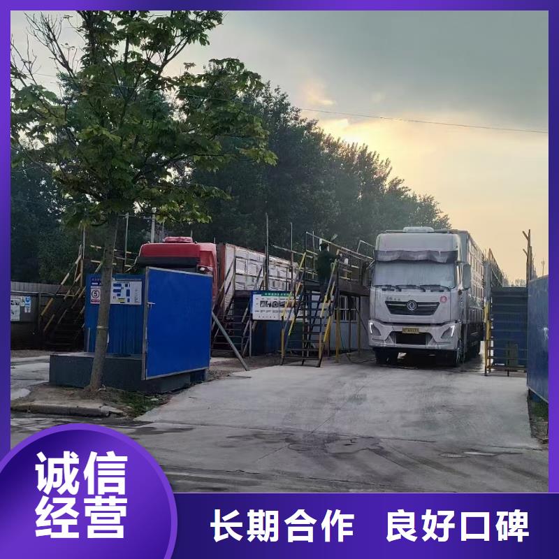 蘇州至牛運(yùn)輸車(chē)型豐富常年出售