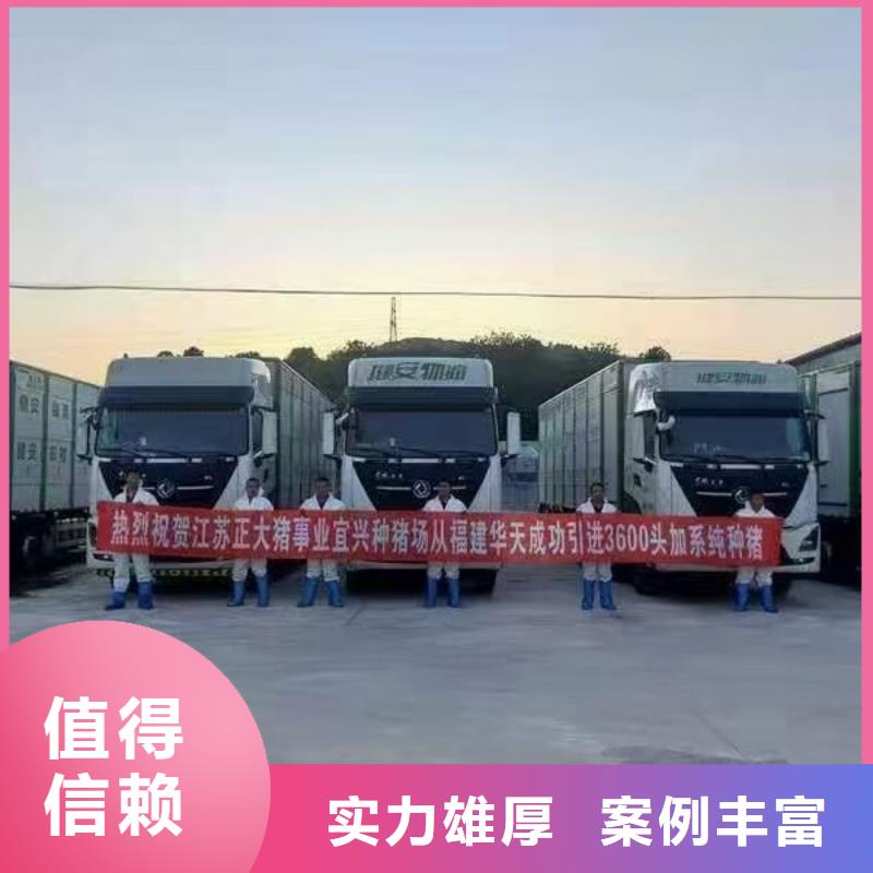 宿遷沭陽到生豬空調(diào)車運輸設(shè)備精良打造行業(yè)品質(zhì)