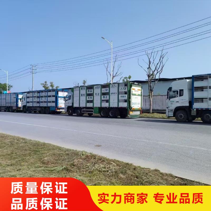 威海到農(nóng)牧運輸穩(wěn)妥可靠同城品牌