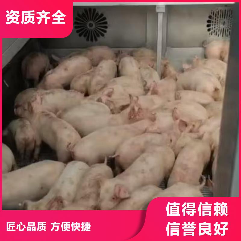 宿遷到空調車運輸快捷準時經驗豐富質量放心