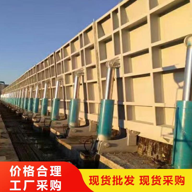 定輪鋼閘門采購當地公司