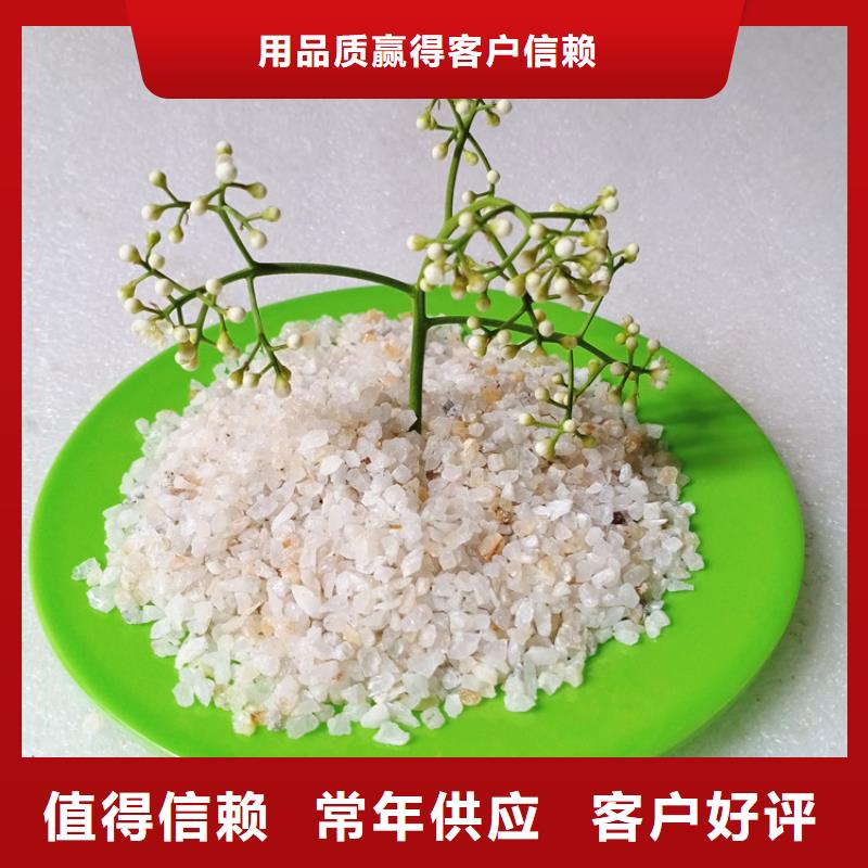 石英砂蜂窩活性炭工廠價格實力廠商