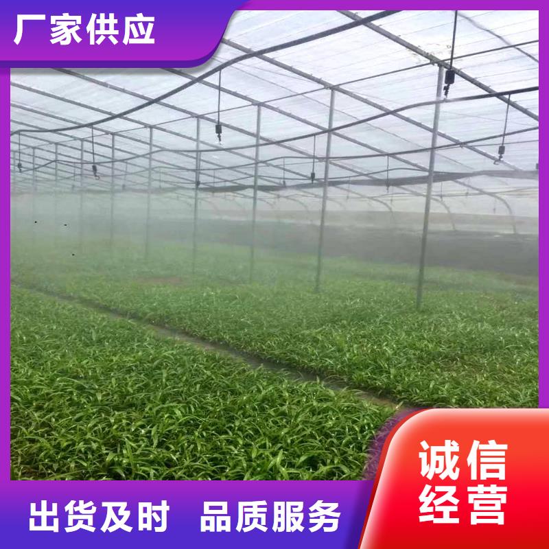 大棚管_方矩管嚴謹工藝今日新品