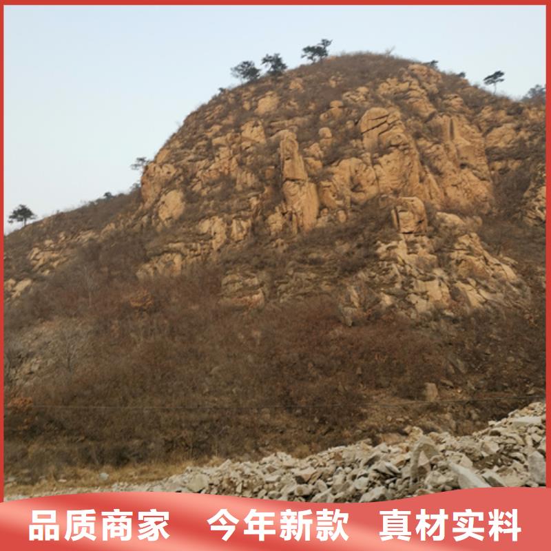 雙電源車出租租一天多少錢電話工藝層層把關