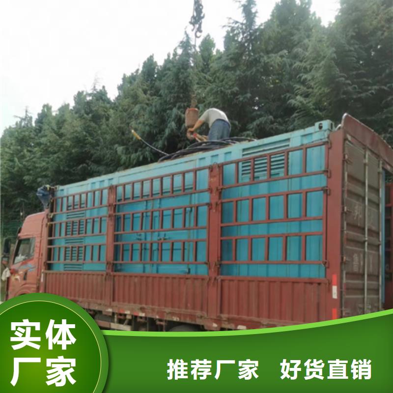 電源車租賃電話同城廠家