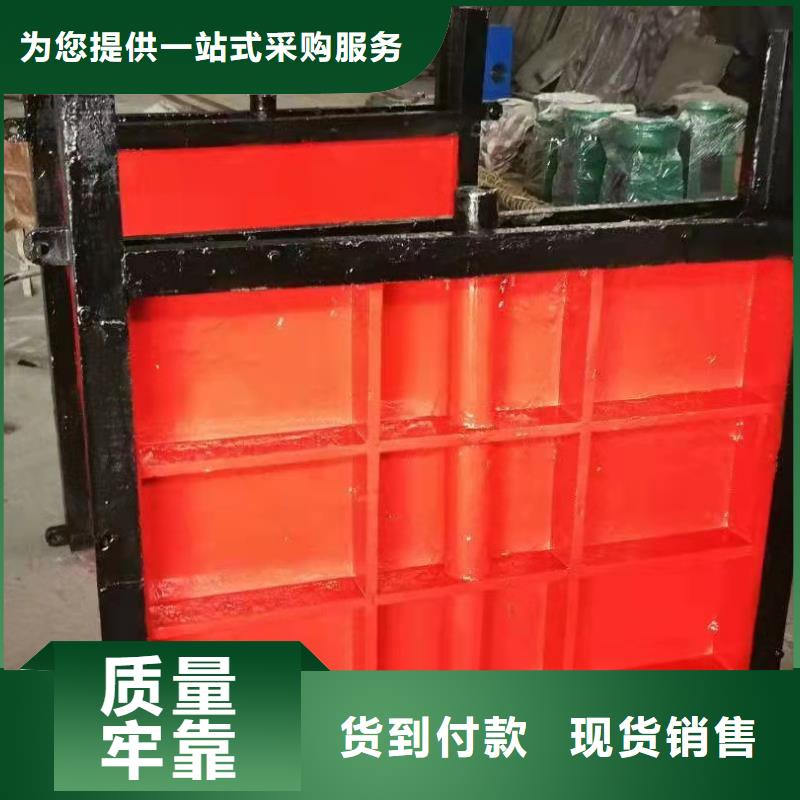 鑄鐵閘門清污機(jī)優(yōu)質(zhì)工藝本地生產(chǎn)廠家