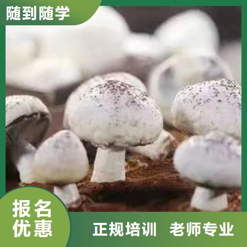 西點學校壓力管道培訓技能+學歷同城制造商