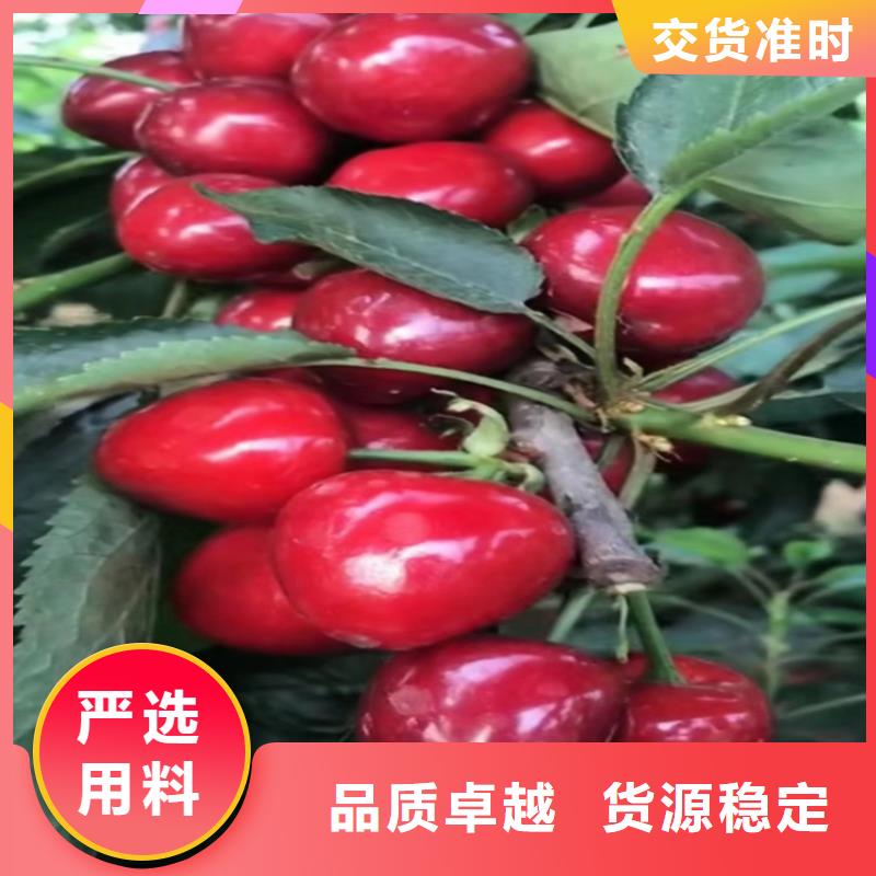 櫻桃-嘎啦蘋果把實惠留給您專業(yè)生產(chǎn)團(tuán)隊