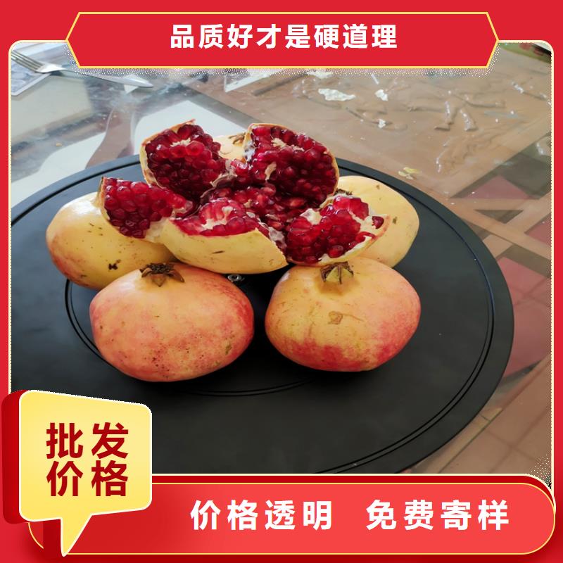 【石榴】,紅顏草莓品質(zhì)卓越支持定制批發(fā)
