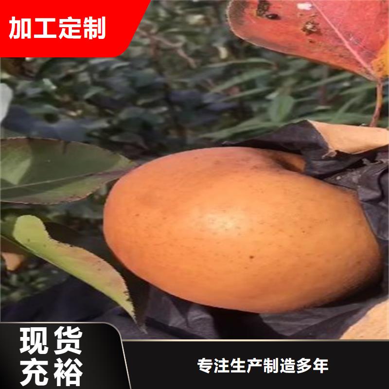 【梨樹櫻桃苗用心做好每一件產品】值得信賴