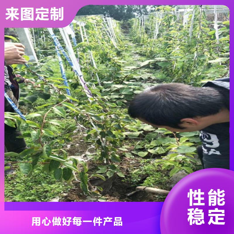 【猕猴桃苹果苗实力见证】量少也做