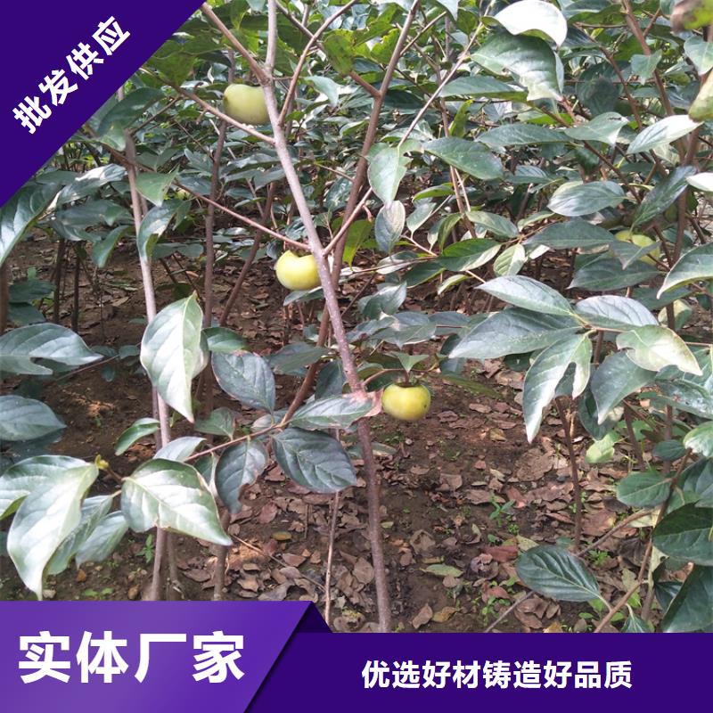 柿子奶油草莓用心做品質本地貨源